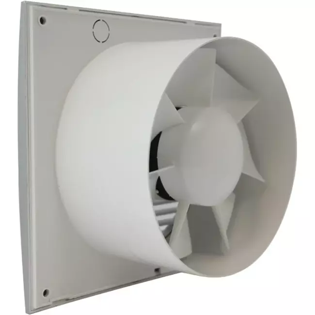 Badkamerventilator Ø 100 mm Zilver met timer - standaard EE100TS